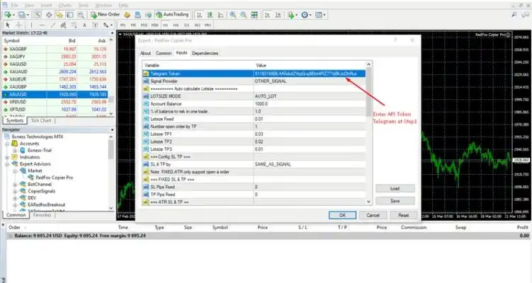 RedFox Copier Pro MT4 - setting