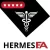 Hermes EA MT4 with INSTRUCTIONS